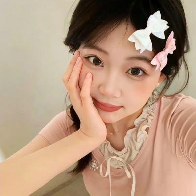 高速路上一只猫