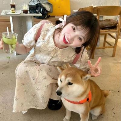 春光之境